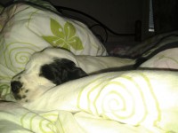 /album/patu/patu-004-jpg/